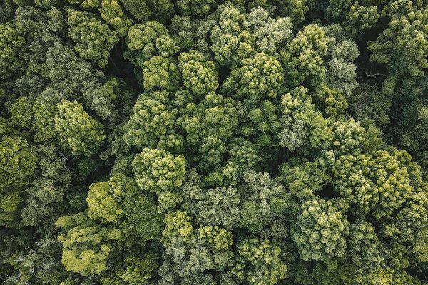 Optimisez votre recherche d"emploi dans la finance : stratégies gagnantes pour un succès règlementaire